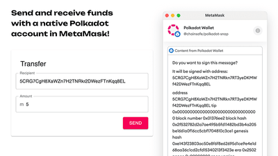 Screenshot for Polkadot Wallet