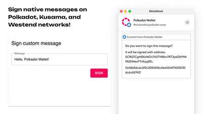 Screenshot for Polkadot Wallet