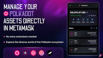 Screenshot for PolkaGate