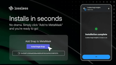 Screenshot for Lossless Aegis Insights