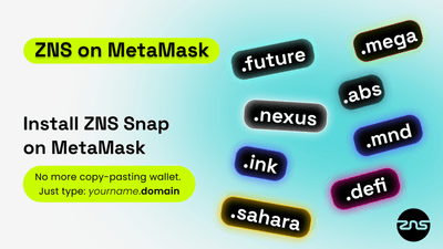 Screenshot for ZNS Connect Name Service