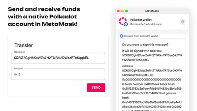 Screenshot for Polkadot Wallet